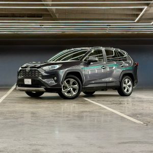 Toyota RAV4 2.5 Limited Hibrid 4wd At